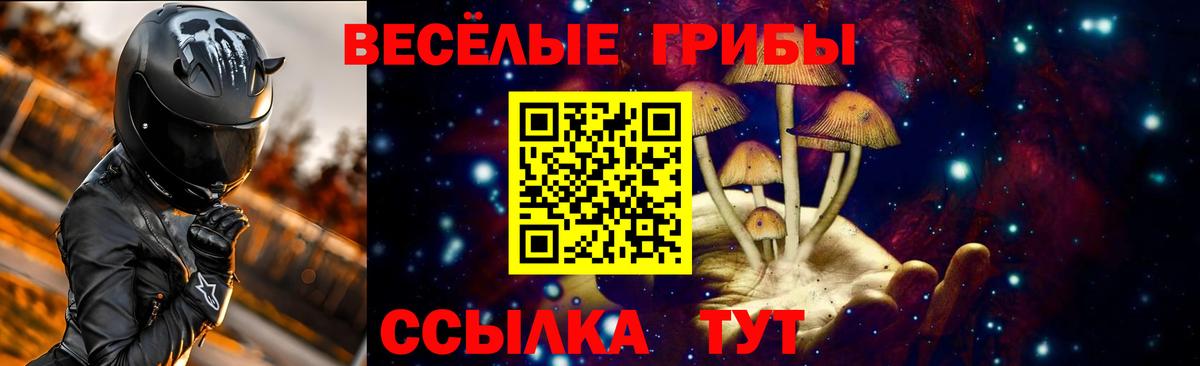Псилоцибиновые грибы Psilocybine cubensis Надым